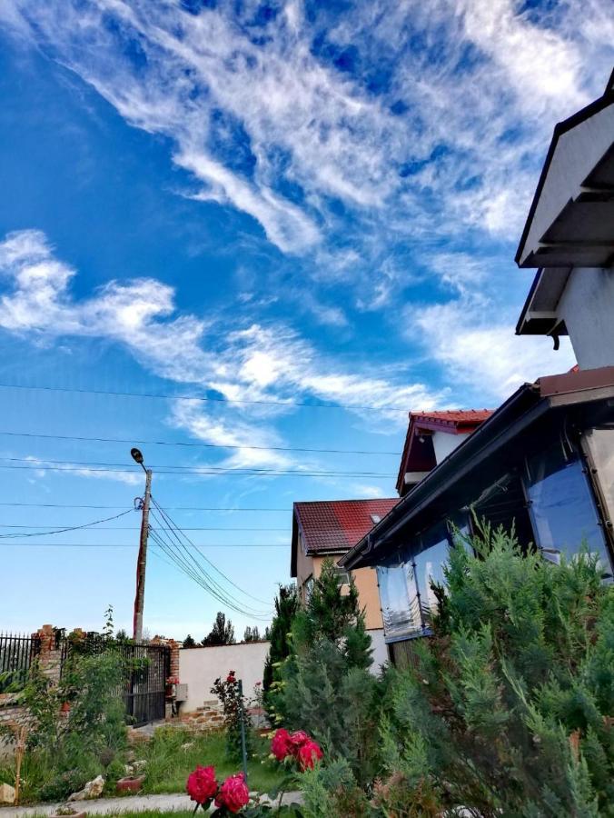 Hotel Casa Alba Năvodari Exterior foto