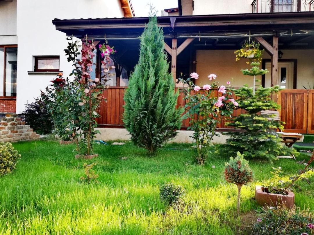 Hotel Casa Alba Năvodari Exterior foto