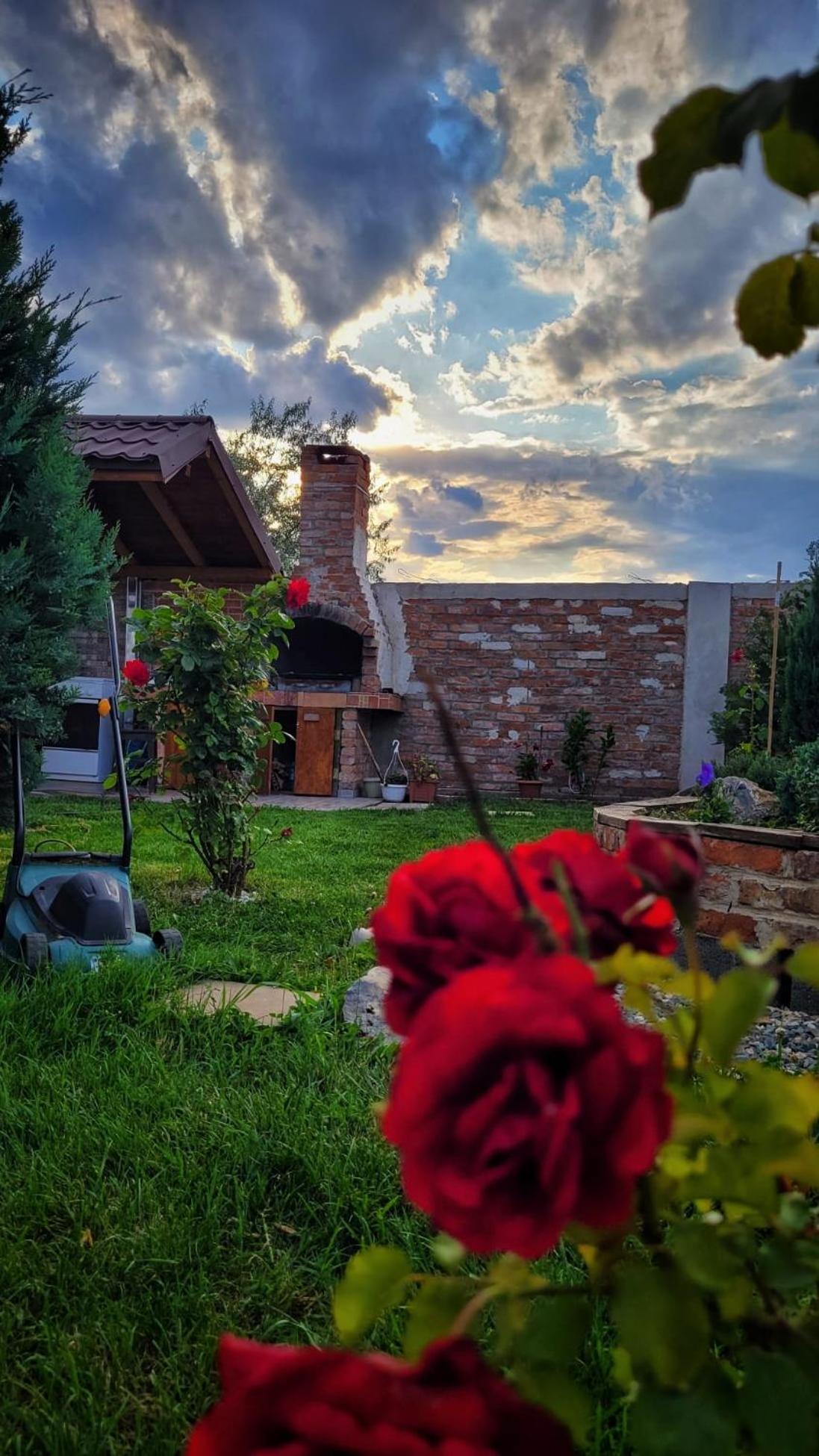 Hotel Casa Alba Năvodari Exterior foto