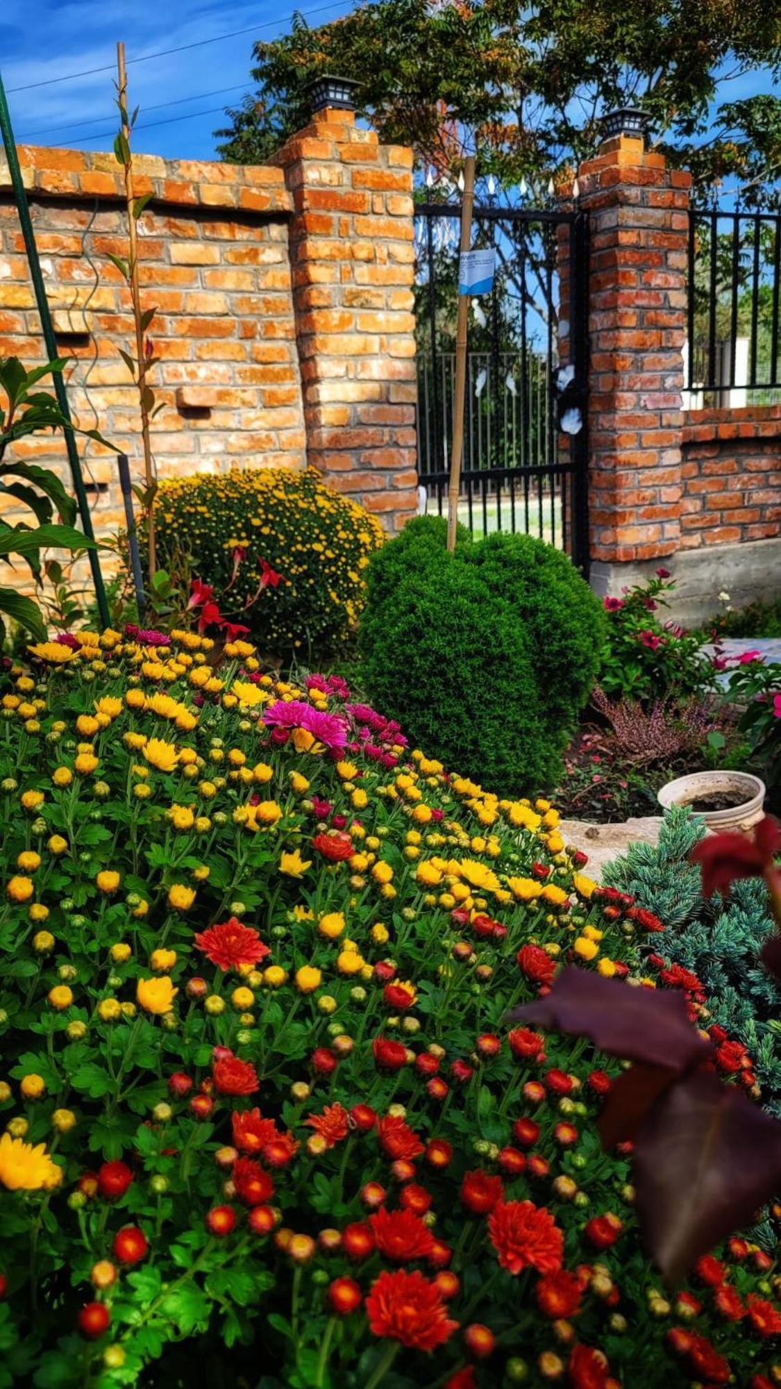 Hotel Casa Alba Năvodari Exterior foto